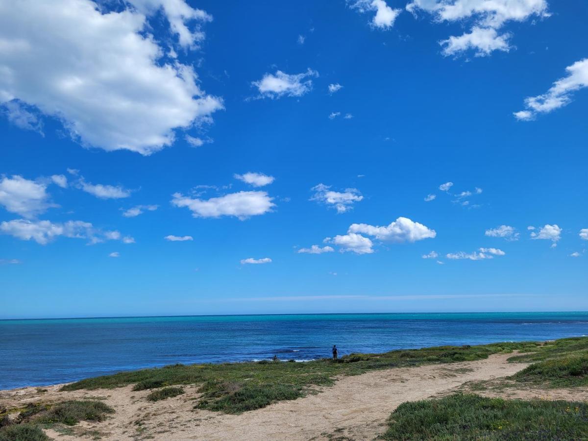 Chilledholidays Daire Torrevieja Dış mekan fotoğraf