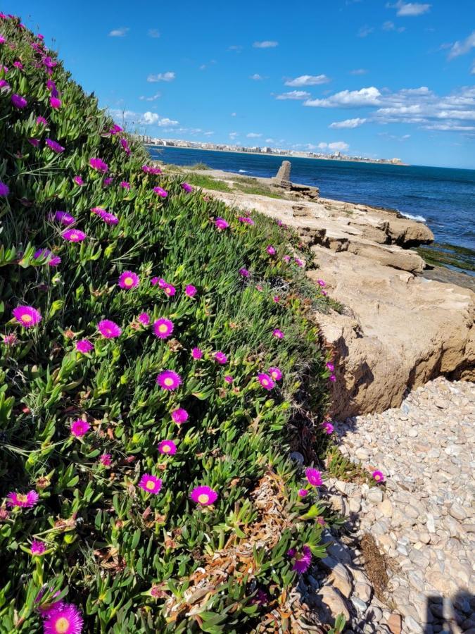 Chilledholidays Daire Torrevieja Dış mekan fotoğraf